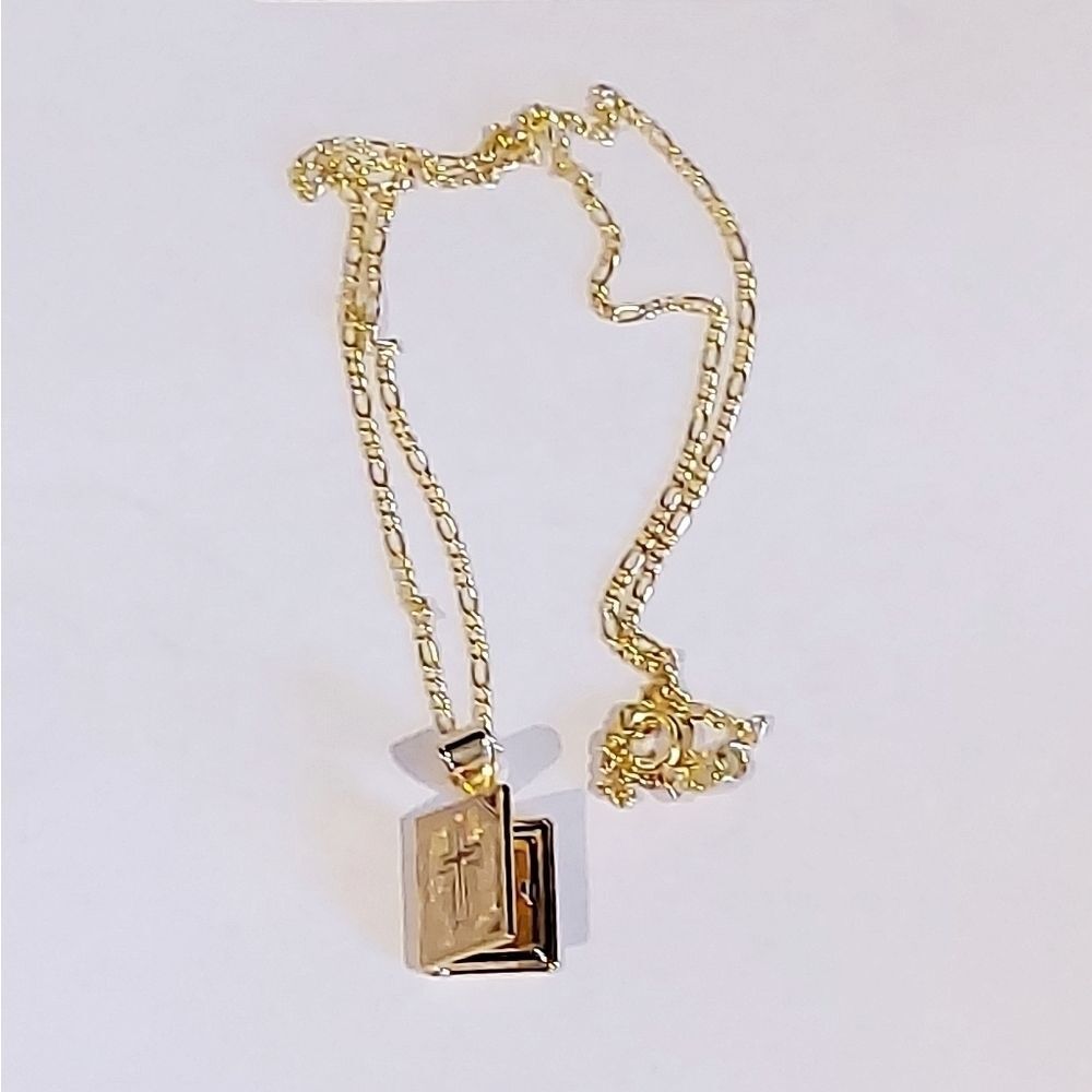 Gold Plated Figaro Link Chain w/photo locked pndt